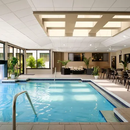 Sheraton Suites Orlando Airport Hotel-3